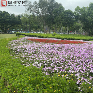 富婆桃子香港无码
